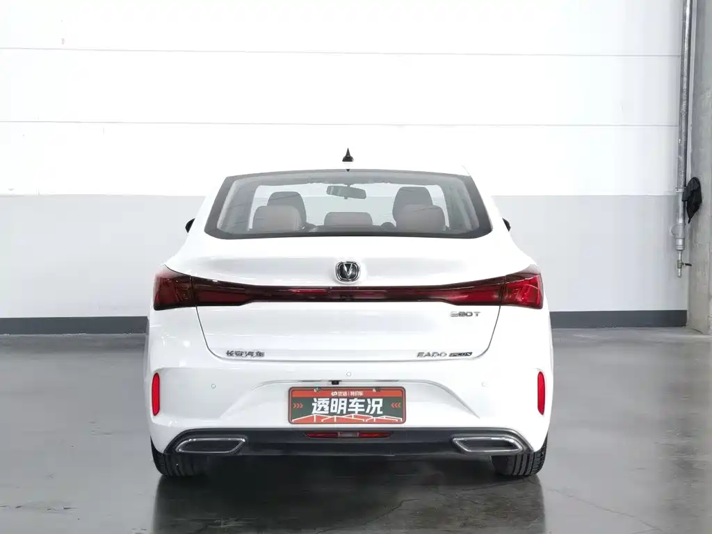 Фото 4 - Changan Eado