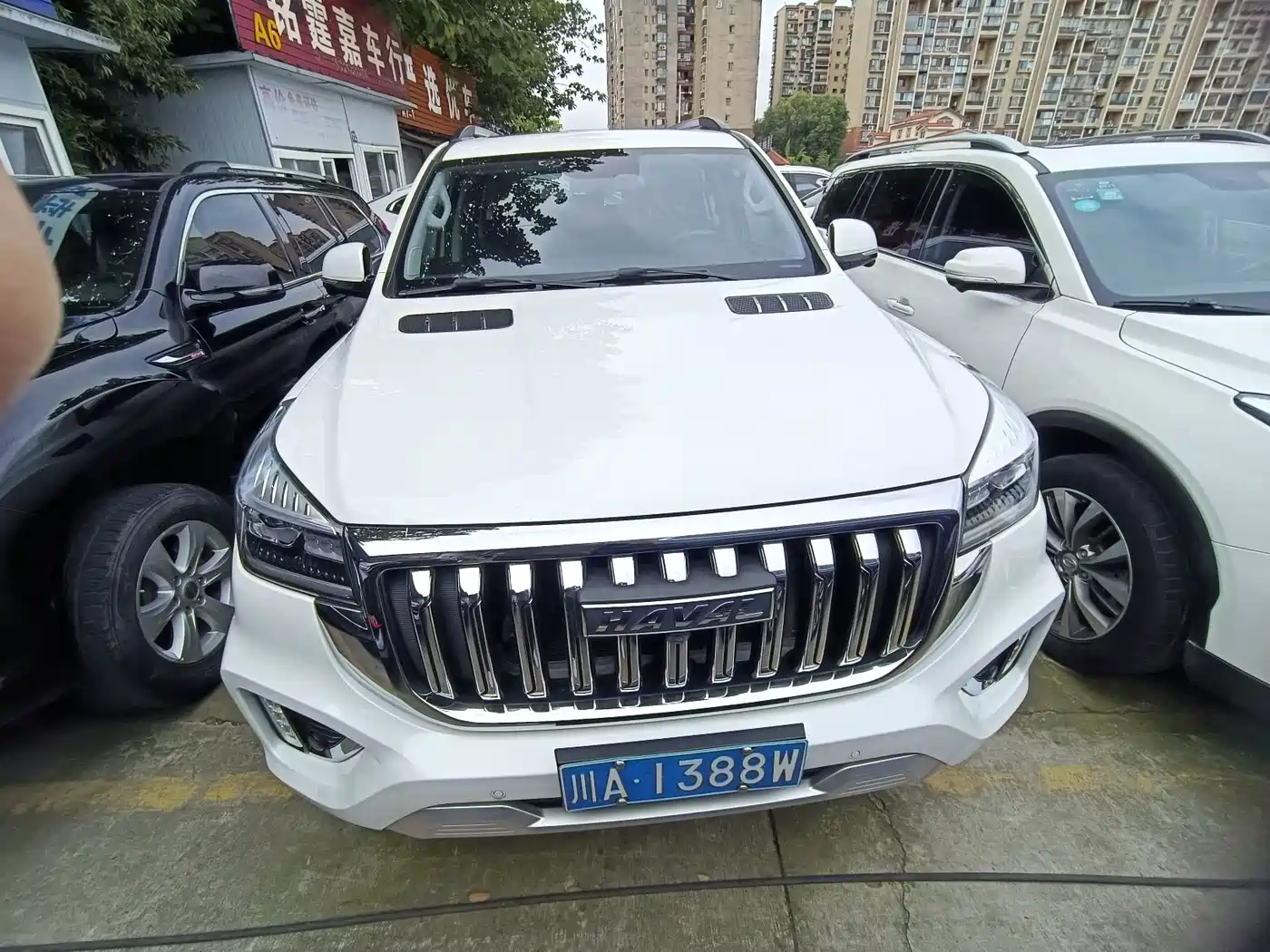 HAVAL H9