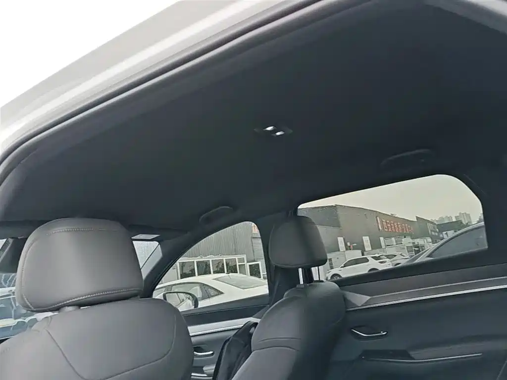BYD Song Pro New Energy 2025 2nd Generation Smart Drive Edition DM-i 75KM Leading Type фото 18