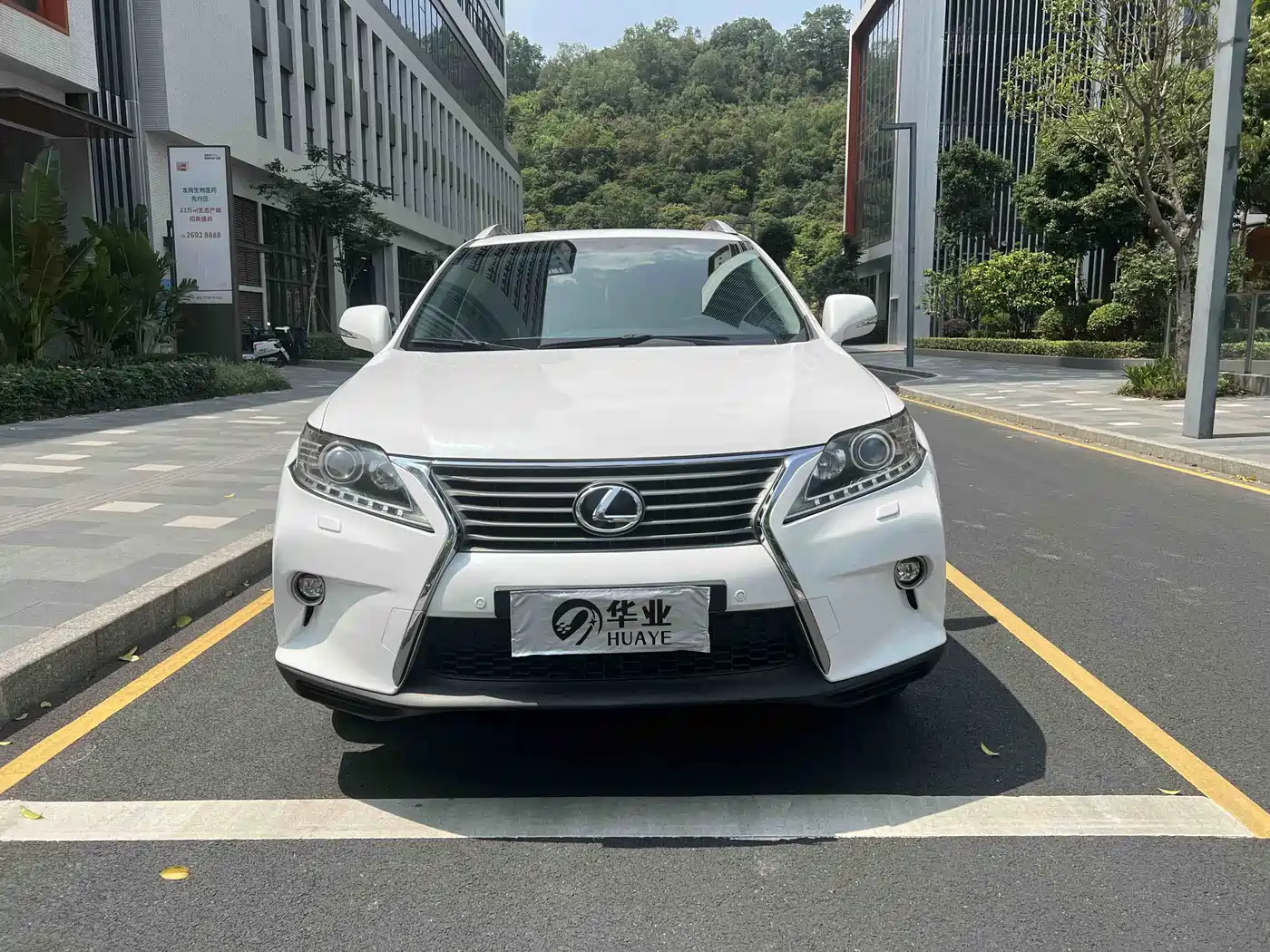 Lexus RX Classic 2013 270 Elegance фото 3