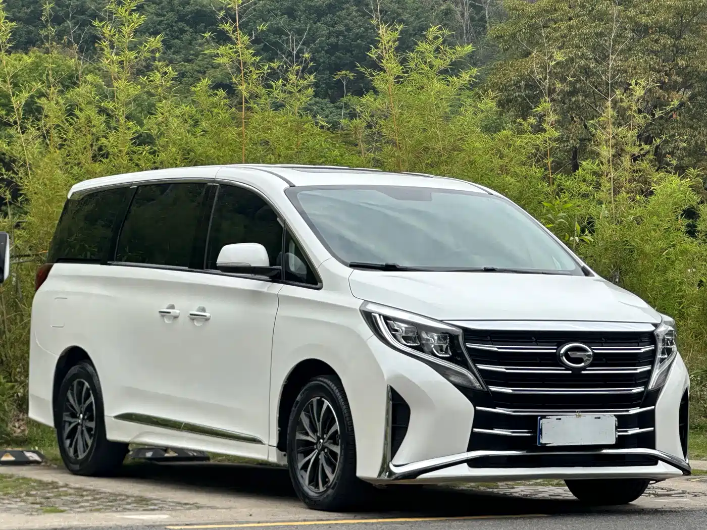 GAC Trumpchi Trumpchi M8 2021 Leading Show Series 390T Luxury Edition фото 3