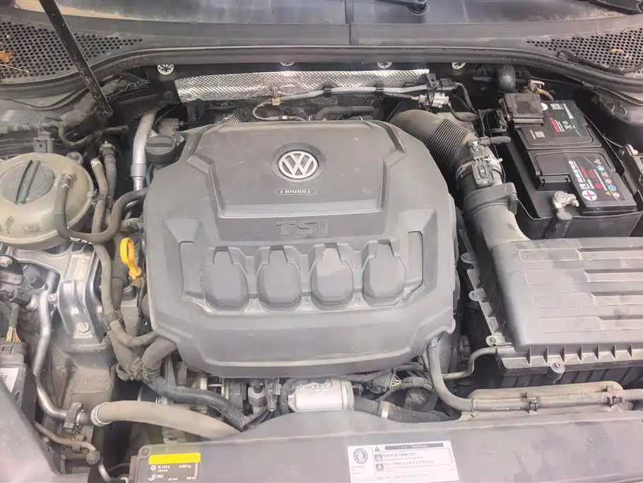 Volkswagen Magotan 2019 330TSI DSG Luxury China V фото 10