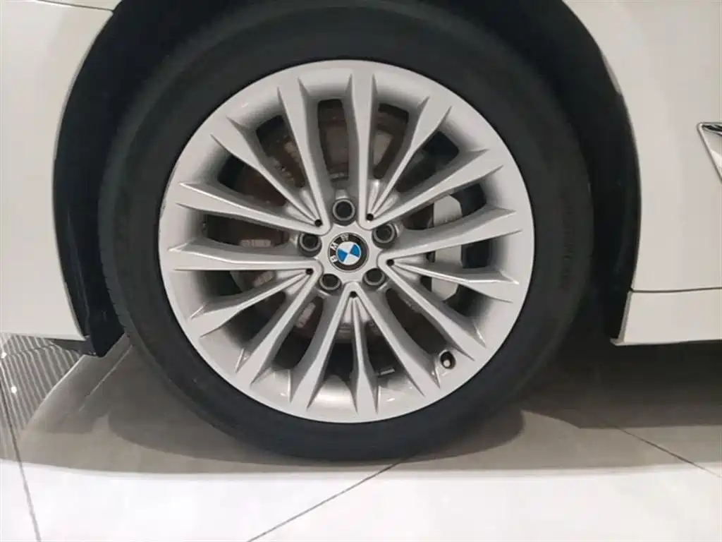 BMW 5 Series 2018 Facelift 530Li Leading Luxury Package фото 23