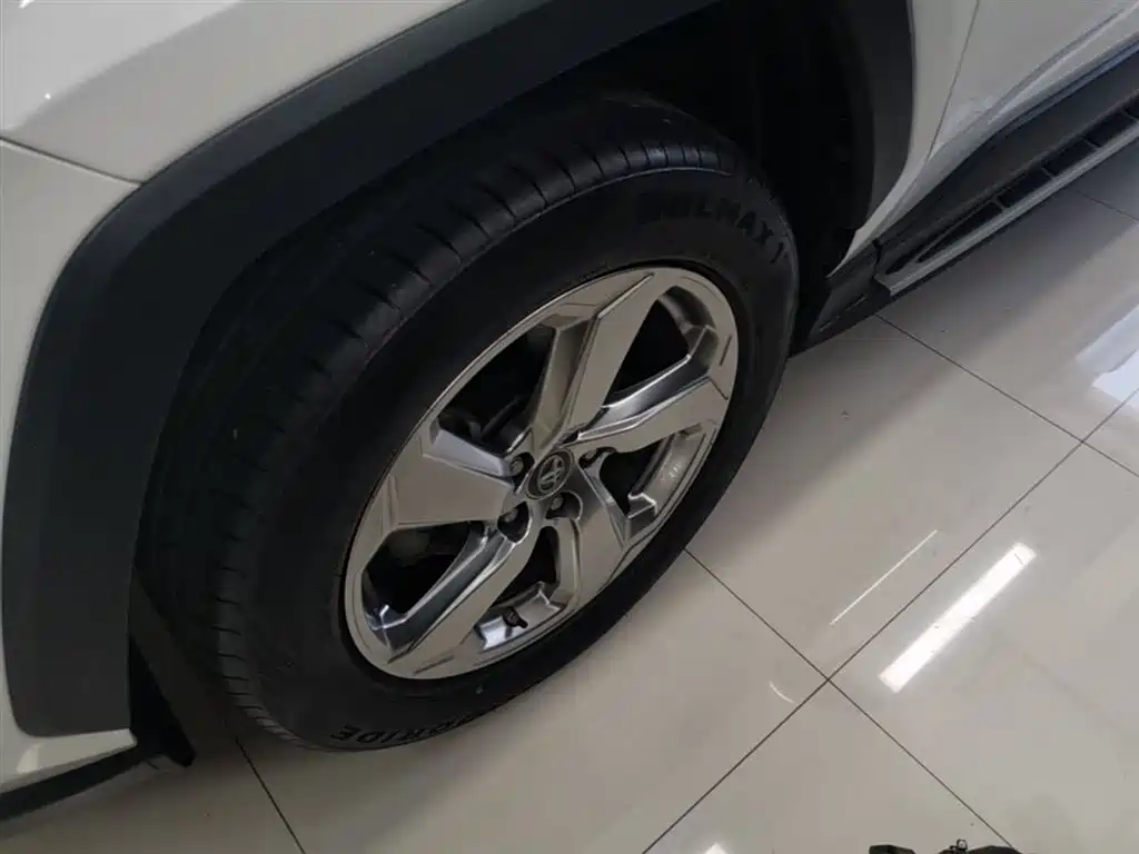 Toyota RAV4 Rongfang 2020 2.0L CVT 2WD Fashion PLUS фото 23
