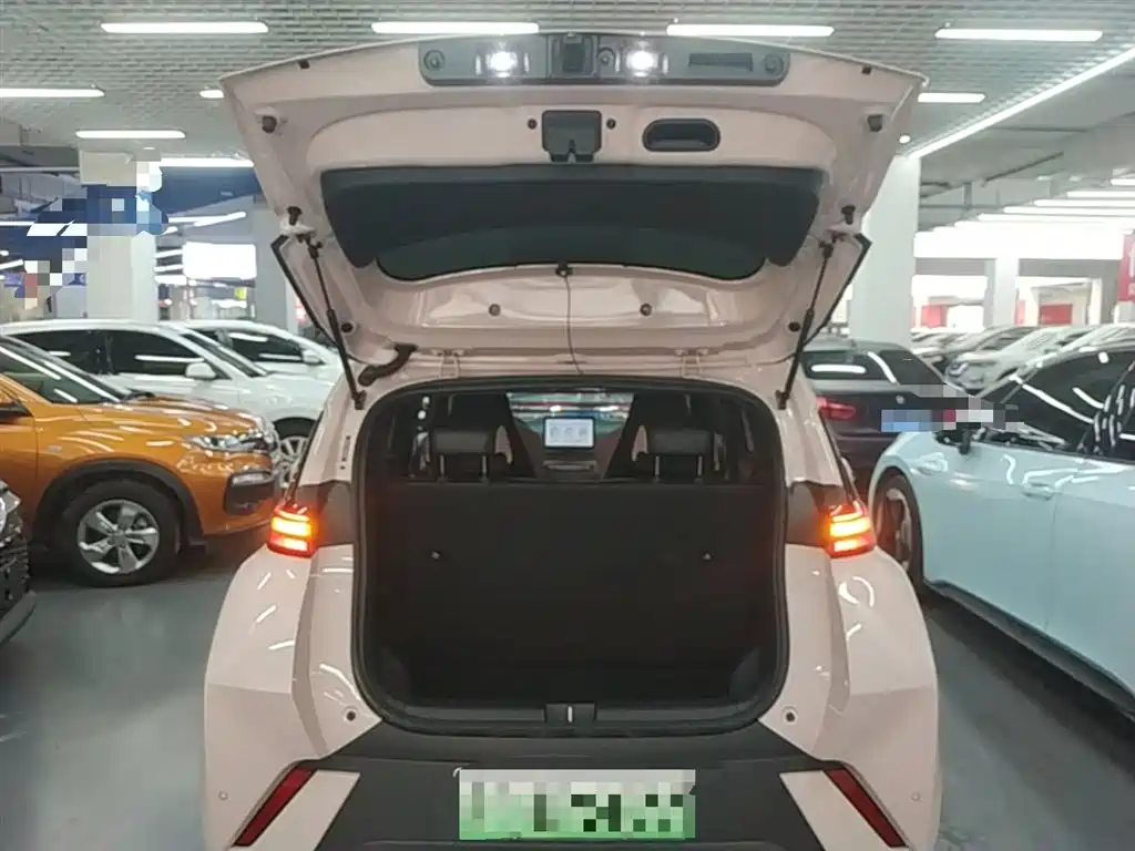 BYD Seagull 2025 305km Vitality фото 19