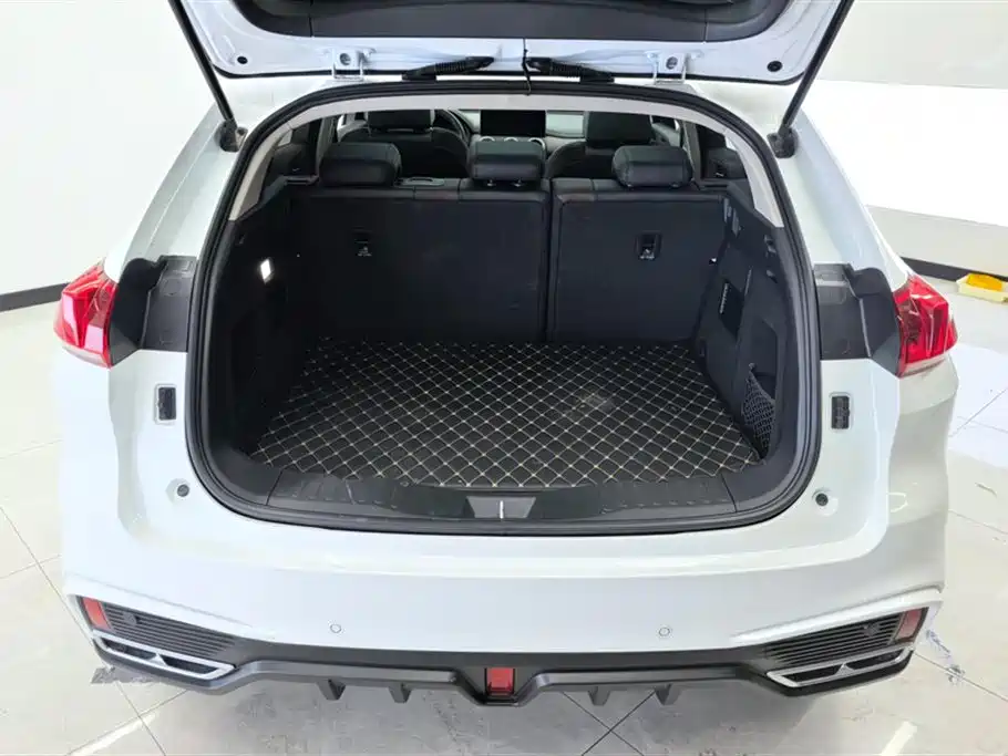 WEI PAI WEI BRAND VV5