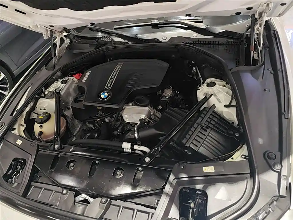 BMW 5 Series 2014 525Li Leading фото 20