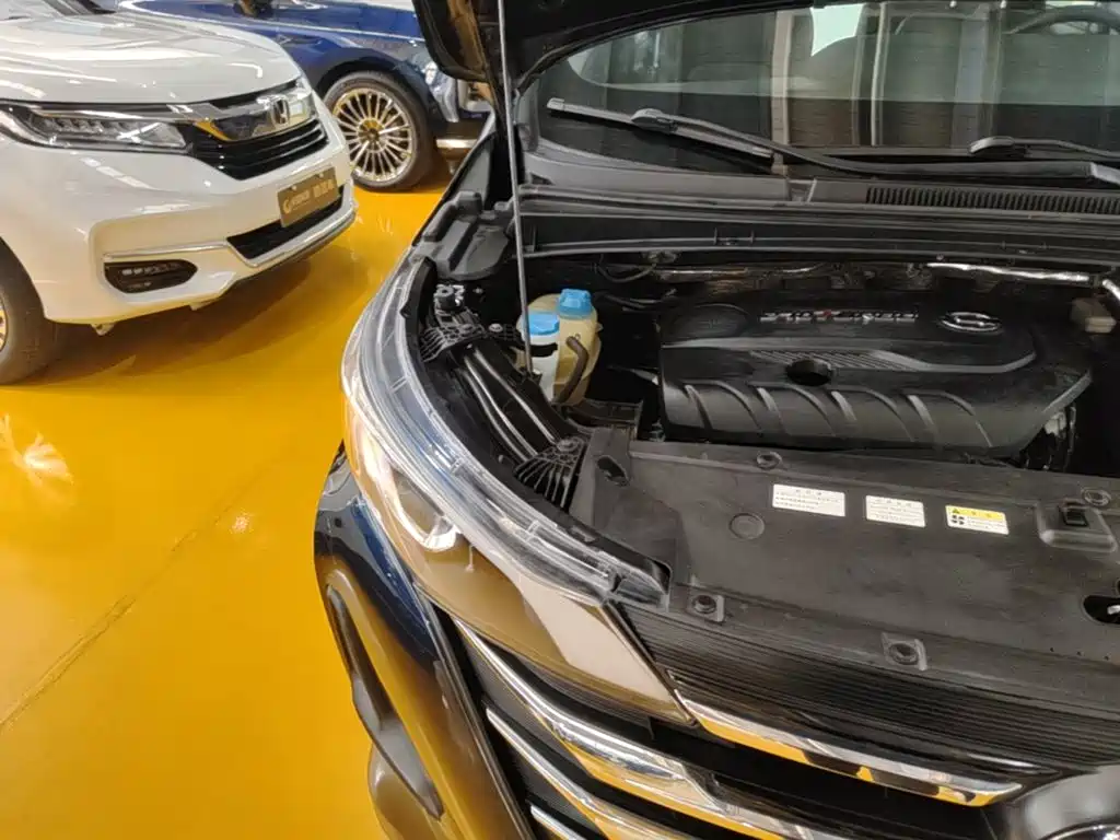 Фото 24 - GAC Trumpchi Trumpchi M6