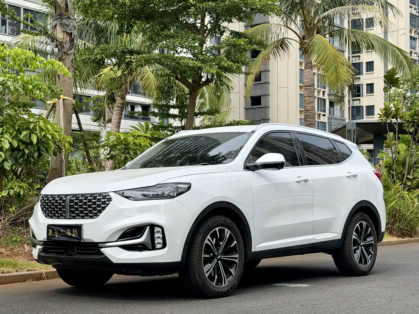 WEY VV6 2021 2.0T 2WD Smart Enjoyment+