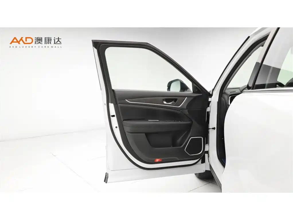 Honda Avancier 2023 2020 370TURBO 2WD Luxury Edition