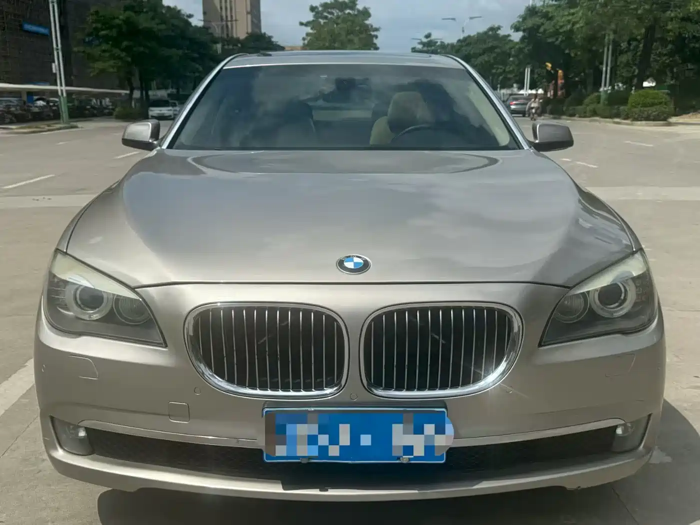 BMW 7 Series 2009 730Li Luxury фото 2