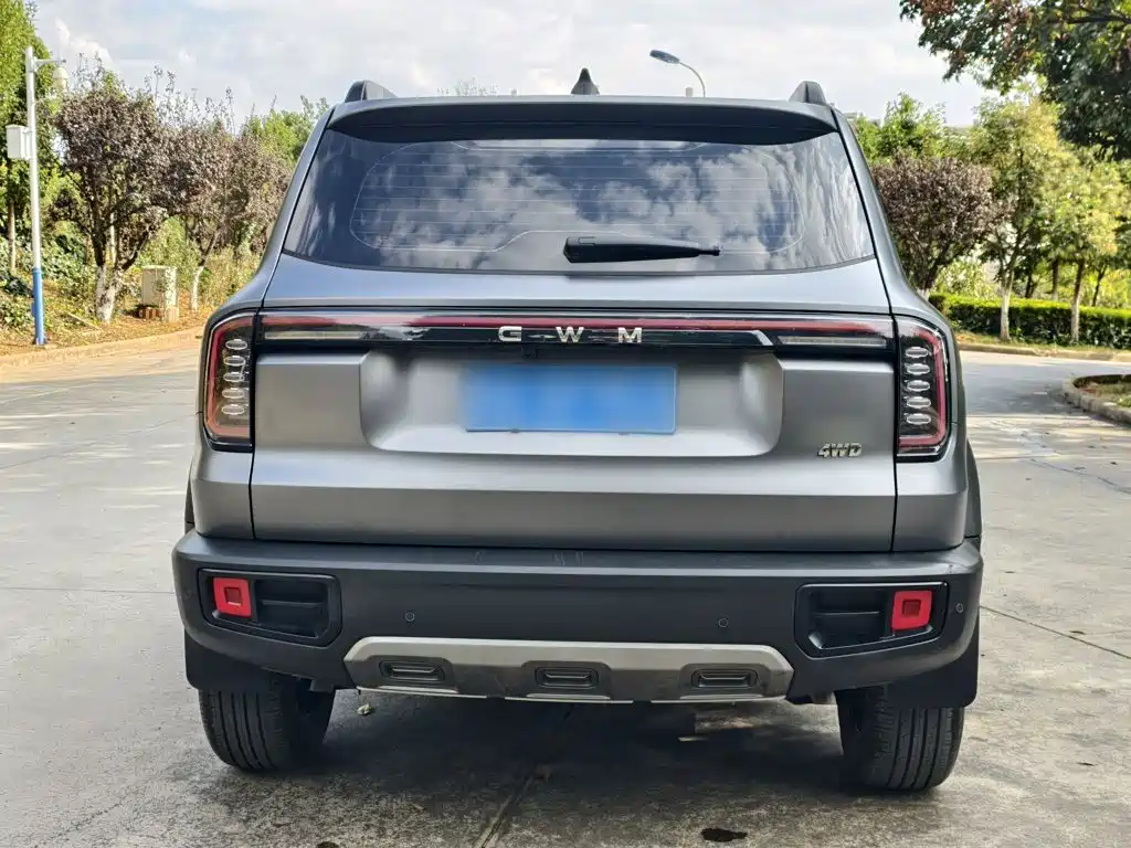 Фото 6 - Haval Dargo
