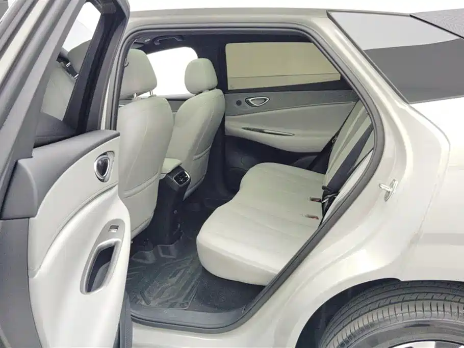 BYD SEA LION 06 NEW ENERGY