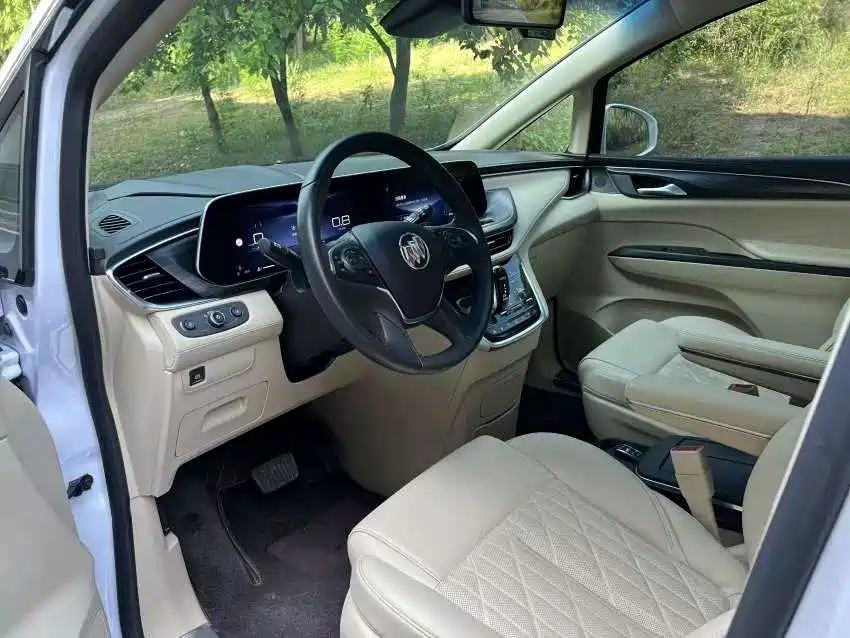 Buick GL8 2023 ES Landmaster Luxury фото 5