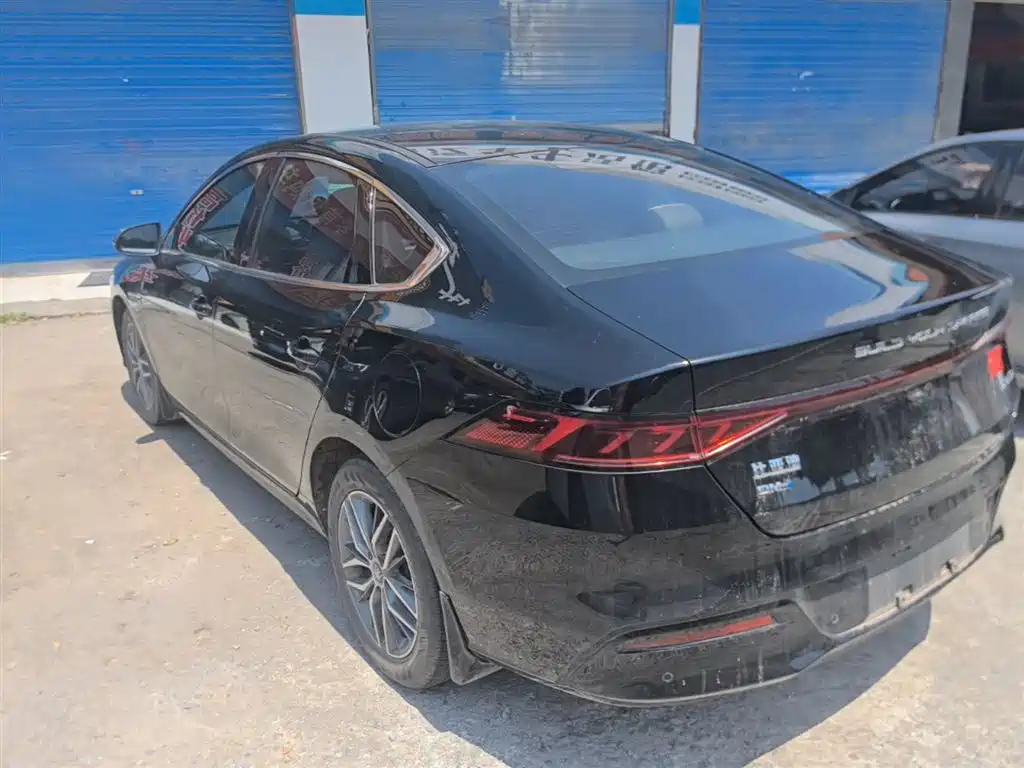 BYD Qin PLUS 2023 Champion Edition DM-i 55KM Surpassing фото 5