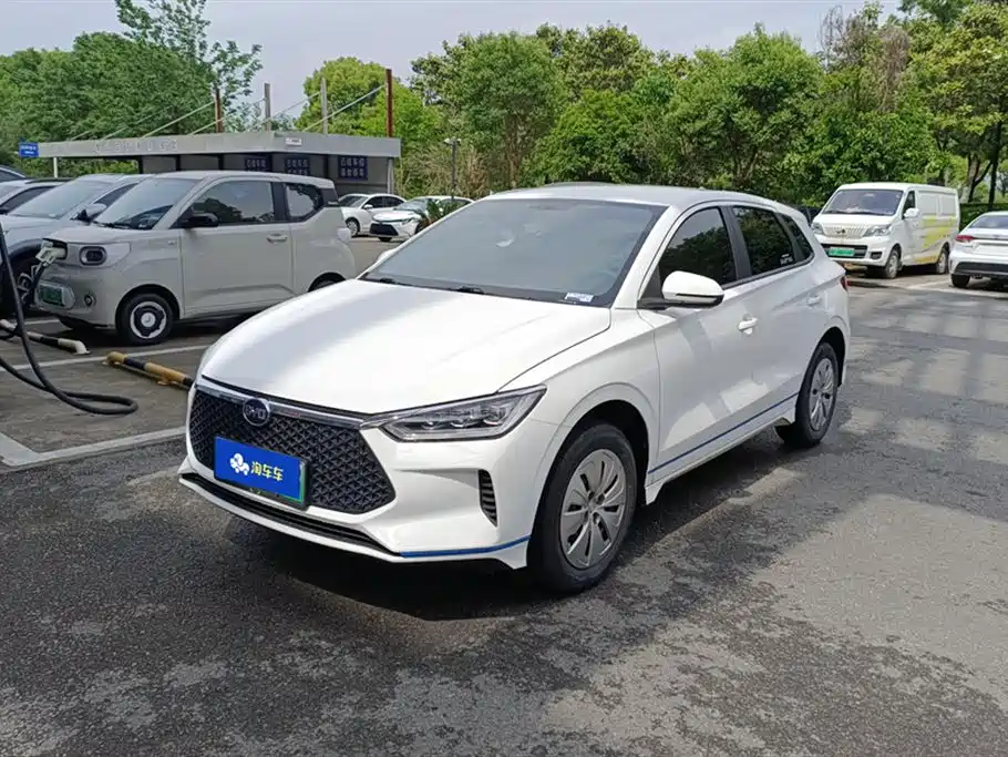 BYD e2 2020 Upgrade Standard Range Standard Model