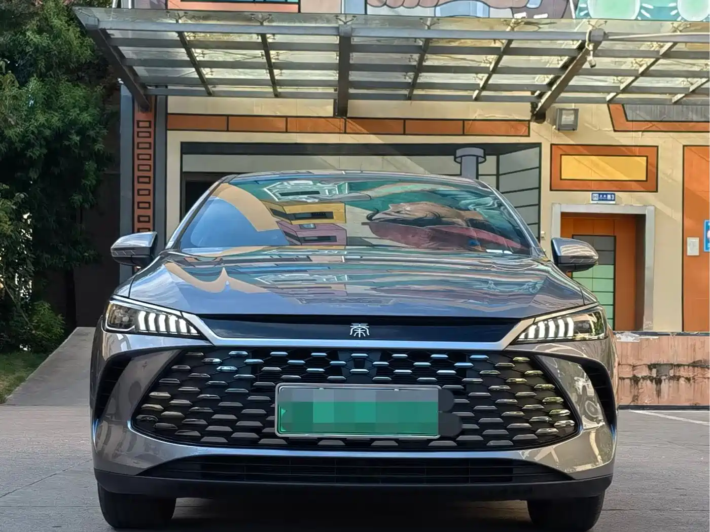 BYD Qin PLUS 2025 DM-i Smart Drive 55KM Leader фото 2