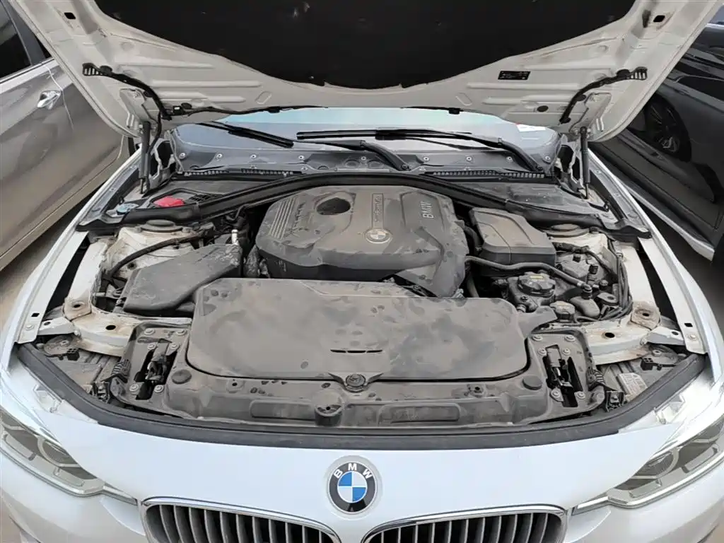 BMW 3 Series 2019 320Li Fashion Type фото 20