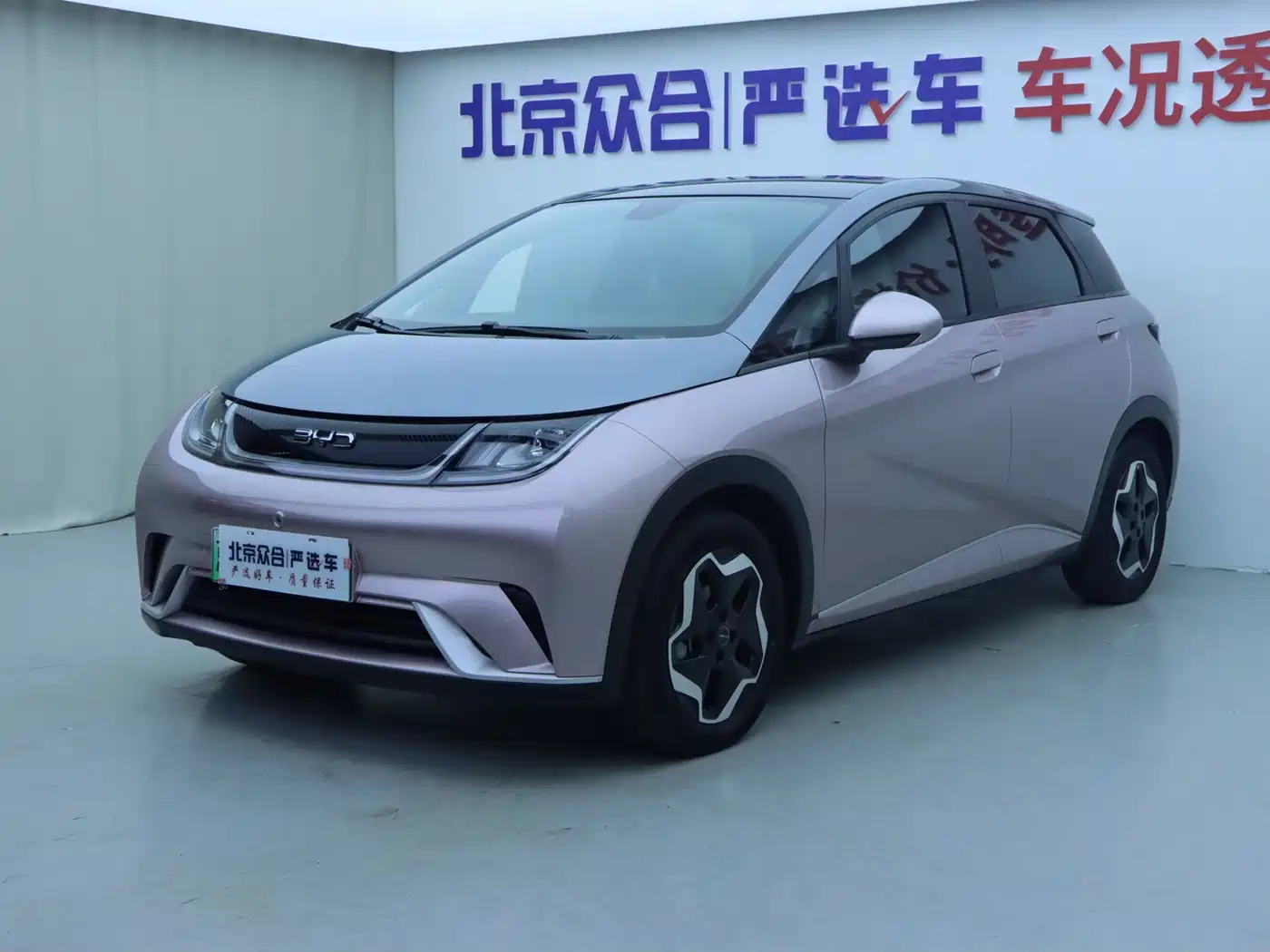 BYD Dolphin 2021 Model 405km Fashion Edition