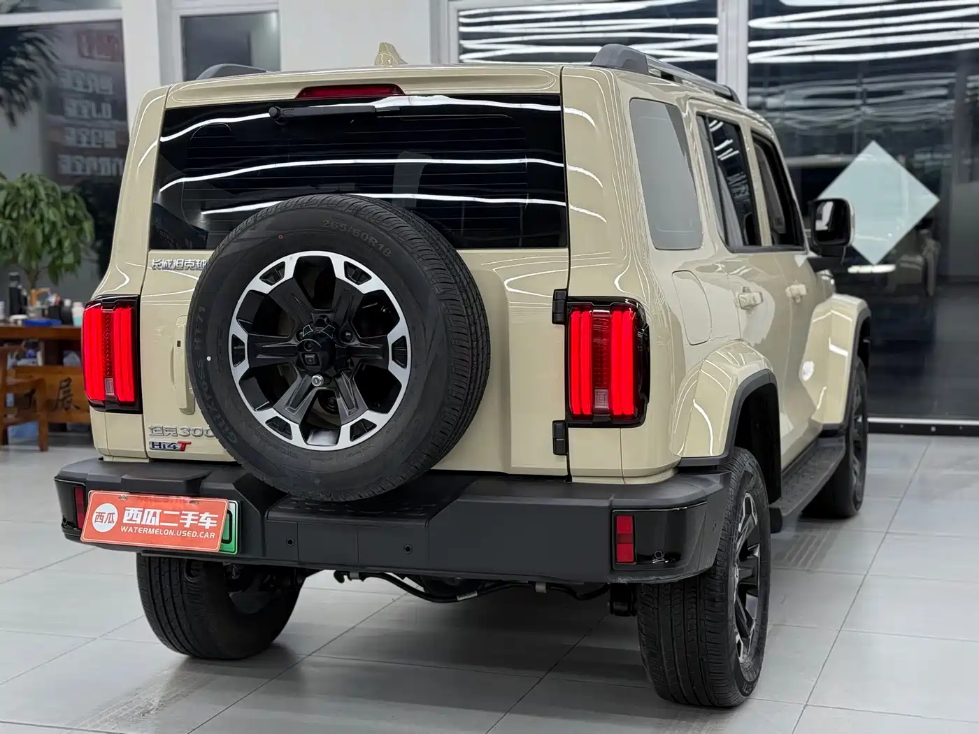 TANK TANK 300 NEW ENERGY