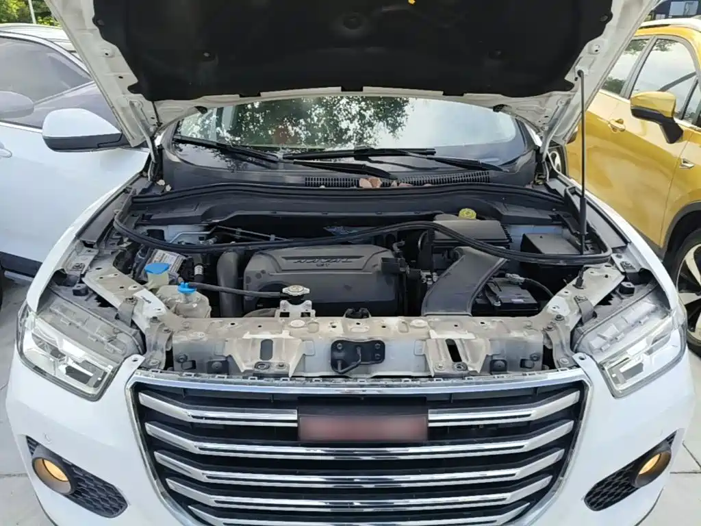 Фото 20 - Haval H2s