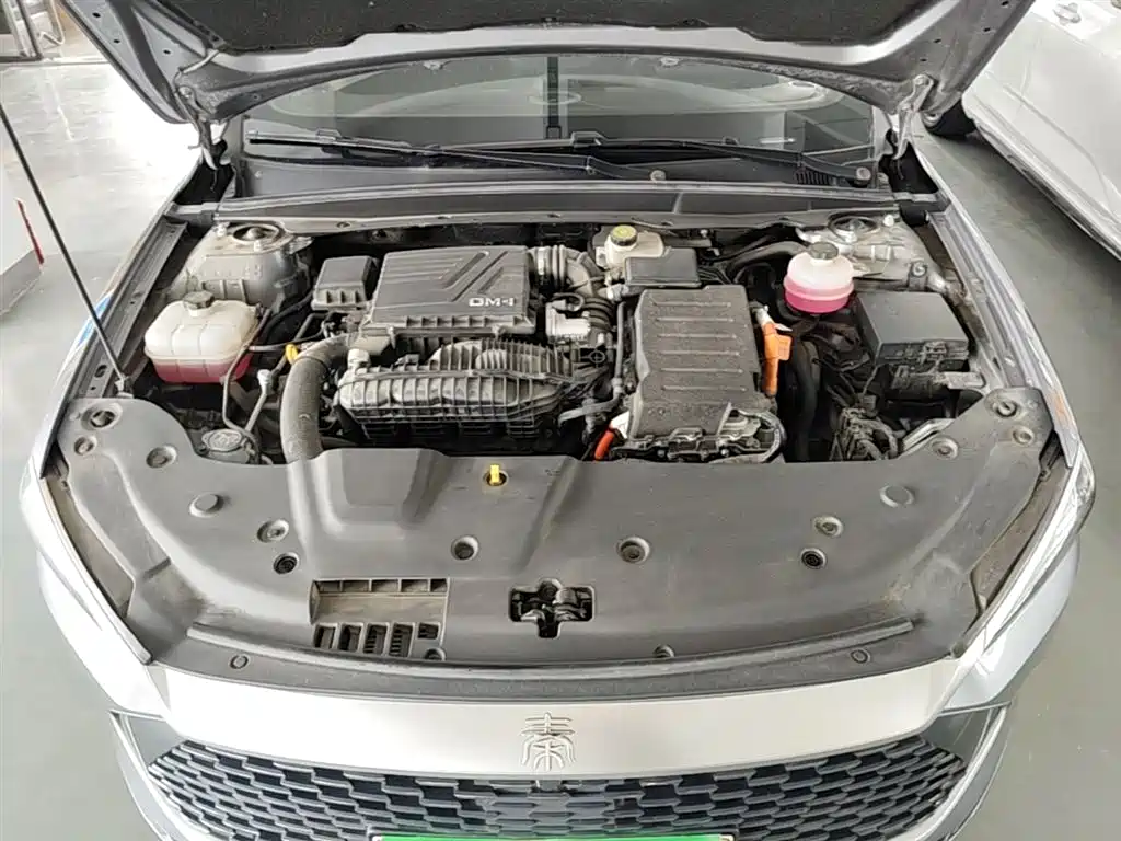 BYD Qin PLUS 2024 Glory Edition DM-i 55KM Leading фото 20