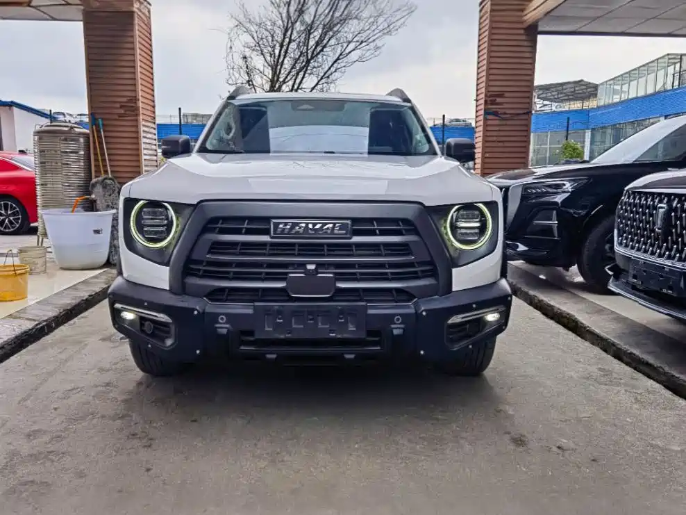 Haval Big Dog 2022 2.0T DCT 4WD Chinese Rural Dog Hunting Edition фото 2