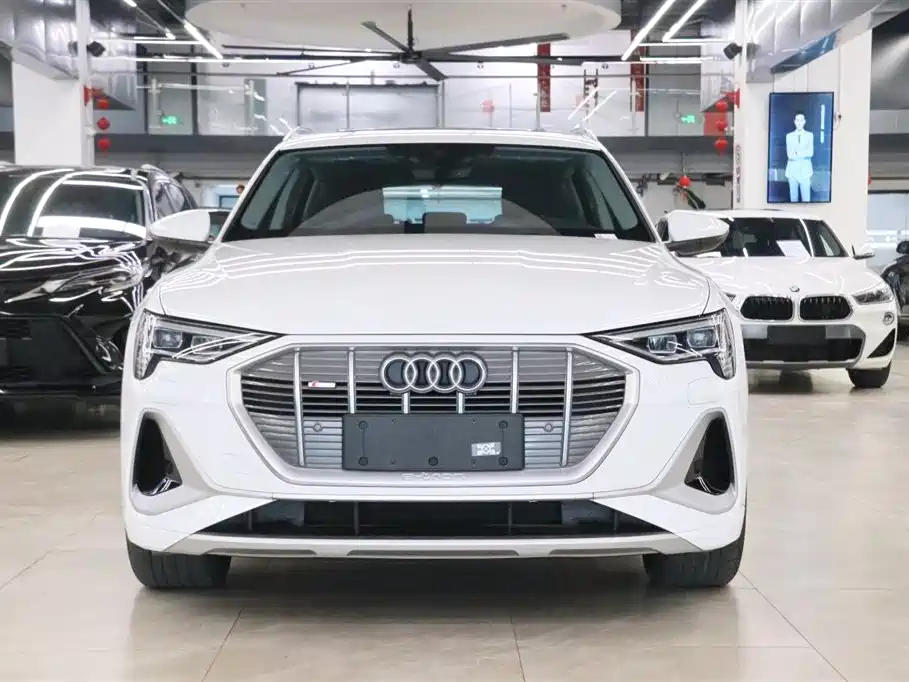 Audi e-tron 2021 50 quattro Luxury фото 2