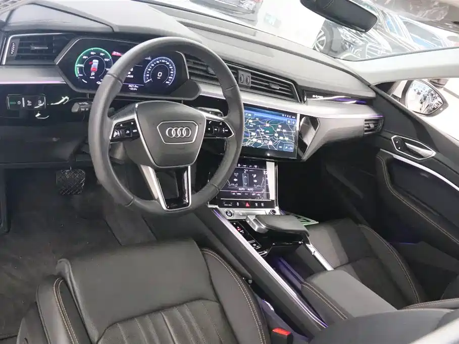 Audi e-tron 2021 50 quattro Luxury фото 11