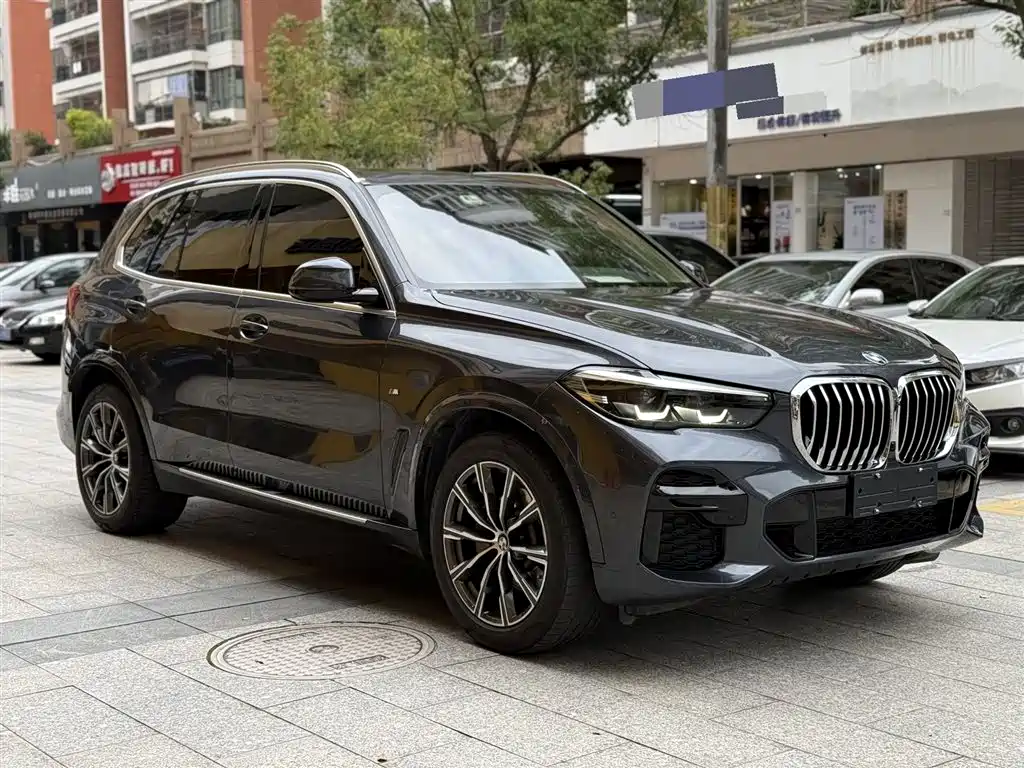 BMW X5 (Import) 2021 xDrive30i M Sport Package фото 2
