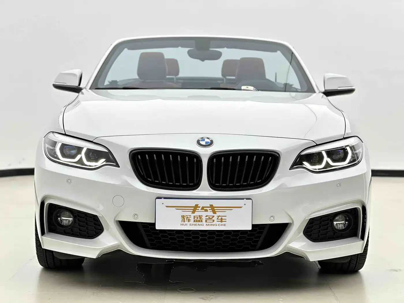 BMW 2 Series (Import) 2019 225i Convertible Coupe Exclusive M Sport Package фото 2