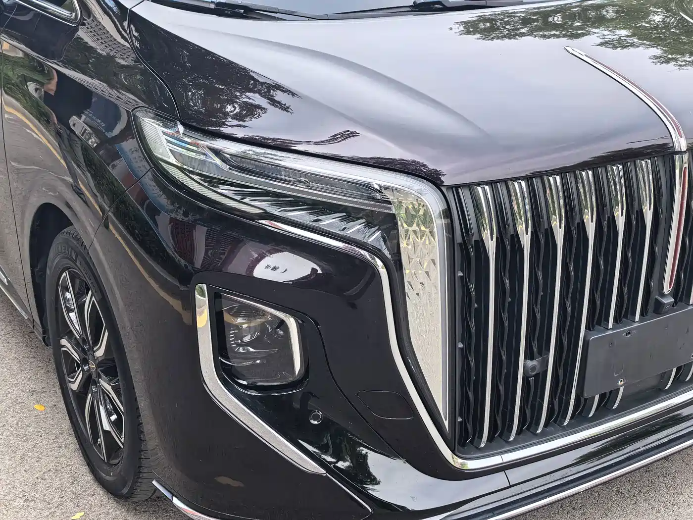 Hongqi HQ9 2023 2023 2.0T Smart Connect Flag Smooth Edition