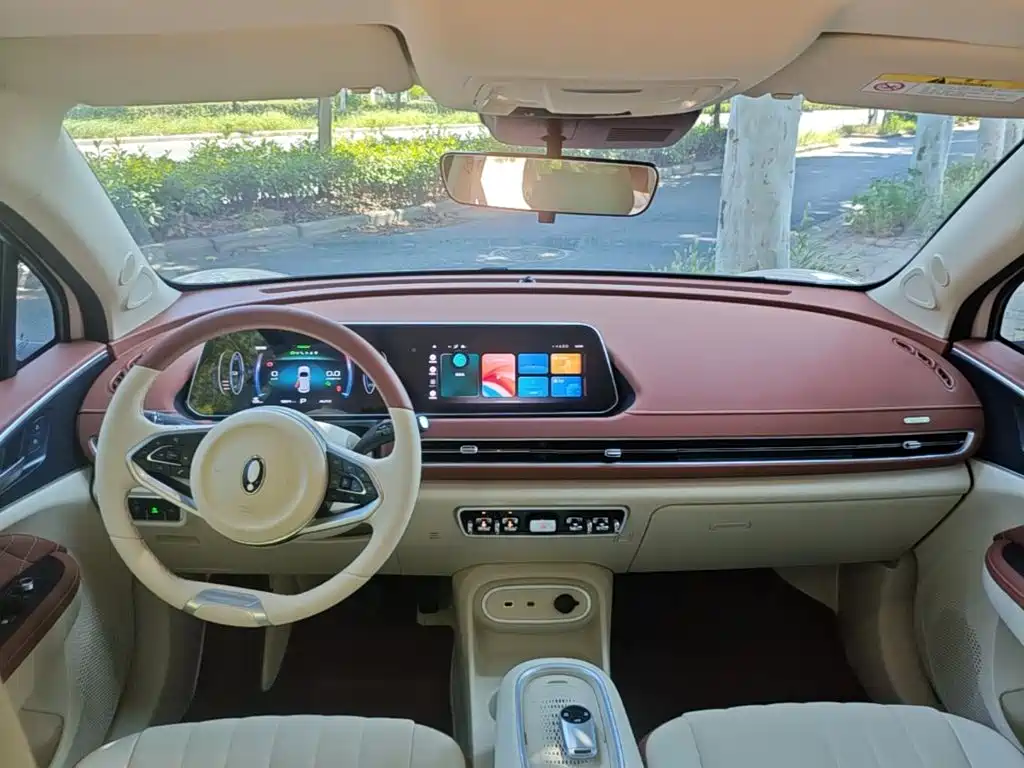 Ora Good Cat 2025 2024 501km Luxury