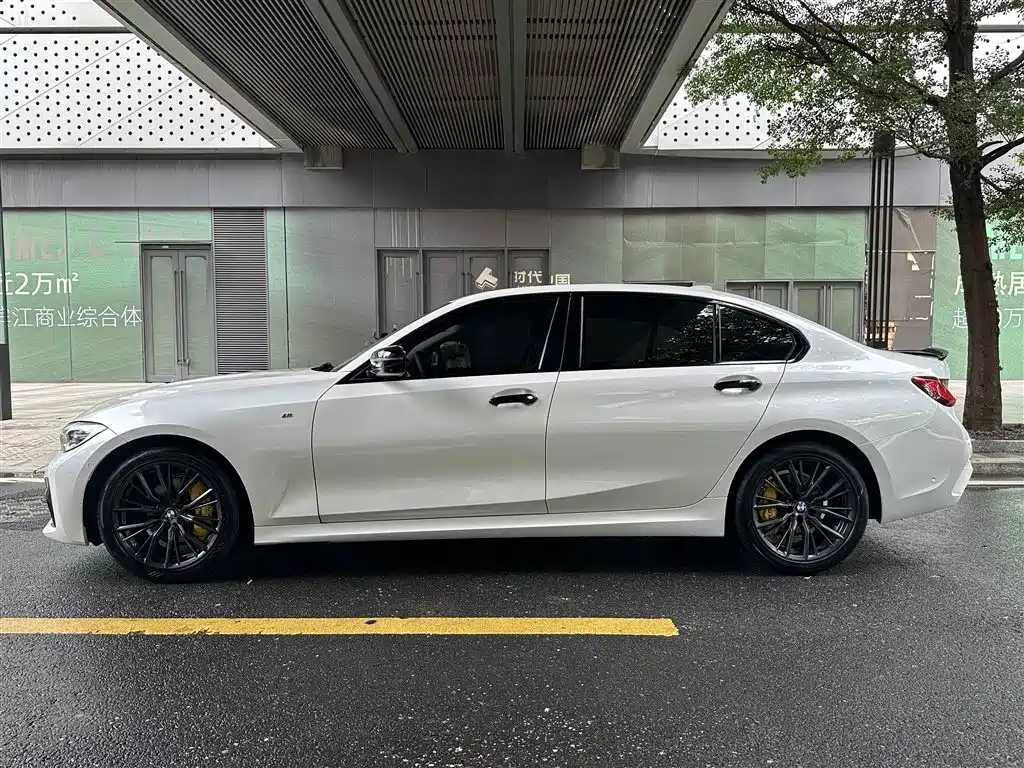 BMW 3 Series 2020 325Li M Sport Black Night Package фото 10