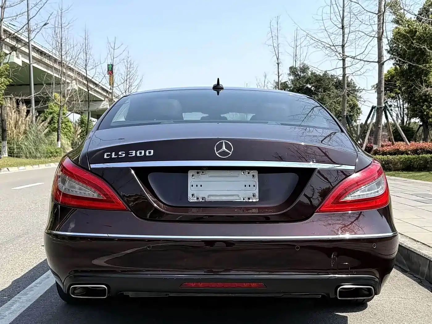 Mercedes-Benz CLS 2012 CLS 300 CGI фото 12