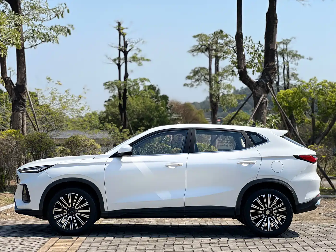 Фото 4 - Changan Oshan Changan Oushang X5