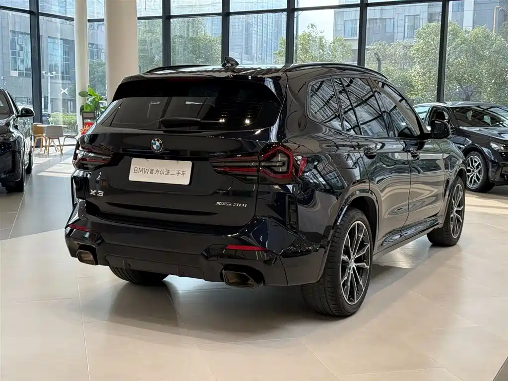 BMW X3 2023 xDrive30i Leading M Night Package фото 7