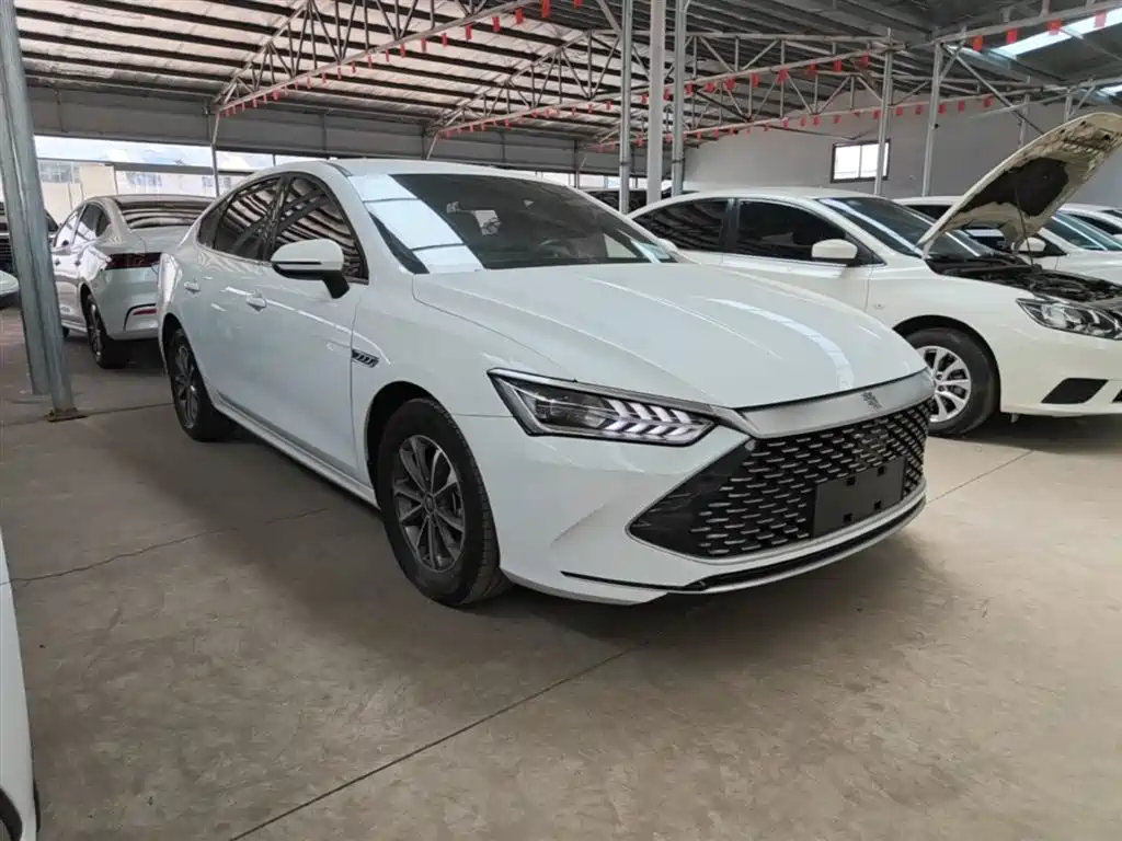 BYD Qin PLUS 2021 DM-i 55KM Premium фото 4