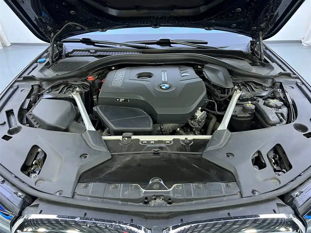BMW 5 Series 2019 525Li Luxury Package фото 24