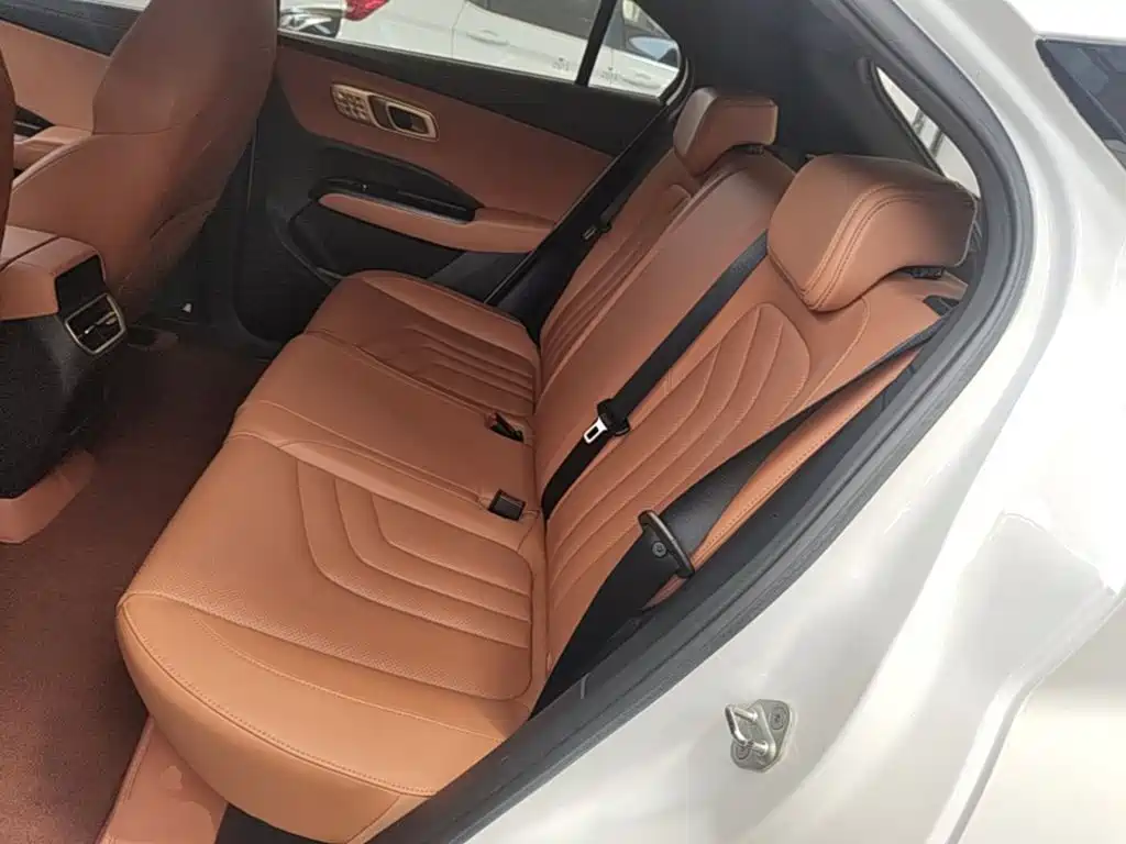 Nezha Auto Nezha X 2024 2023 Model 500 Lite