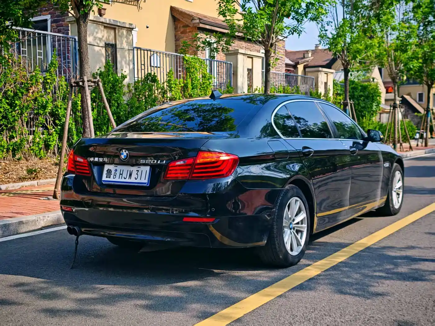 BMW 5 Series 2014 520Li Elegance фото 6