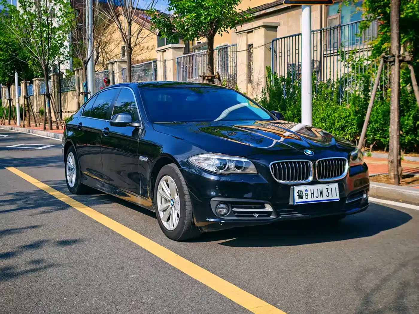 BMW 5 Series 2014 520Li Elegance фото 7