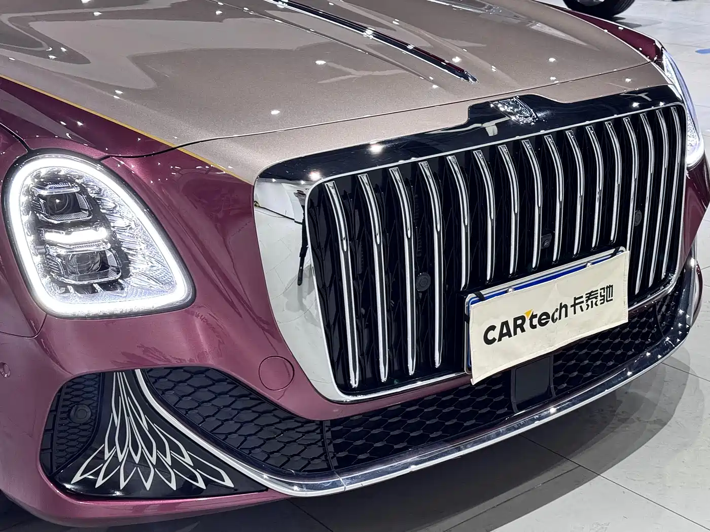 Hongqi Guoya 2024 4.0T V8 Version фото 9