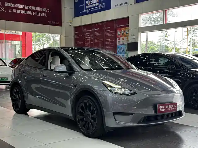 Tesla Model Y 2024 Rear-Wheel Drive Version — фото 4