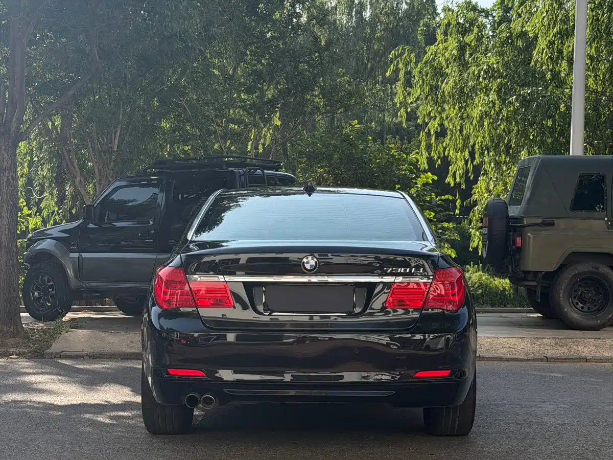 BMW 7 Series 2009 730Li Leading фото 3