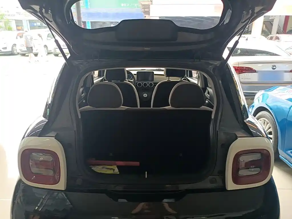 Ora Black Cat 2021 2021 301km Pet Edition