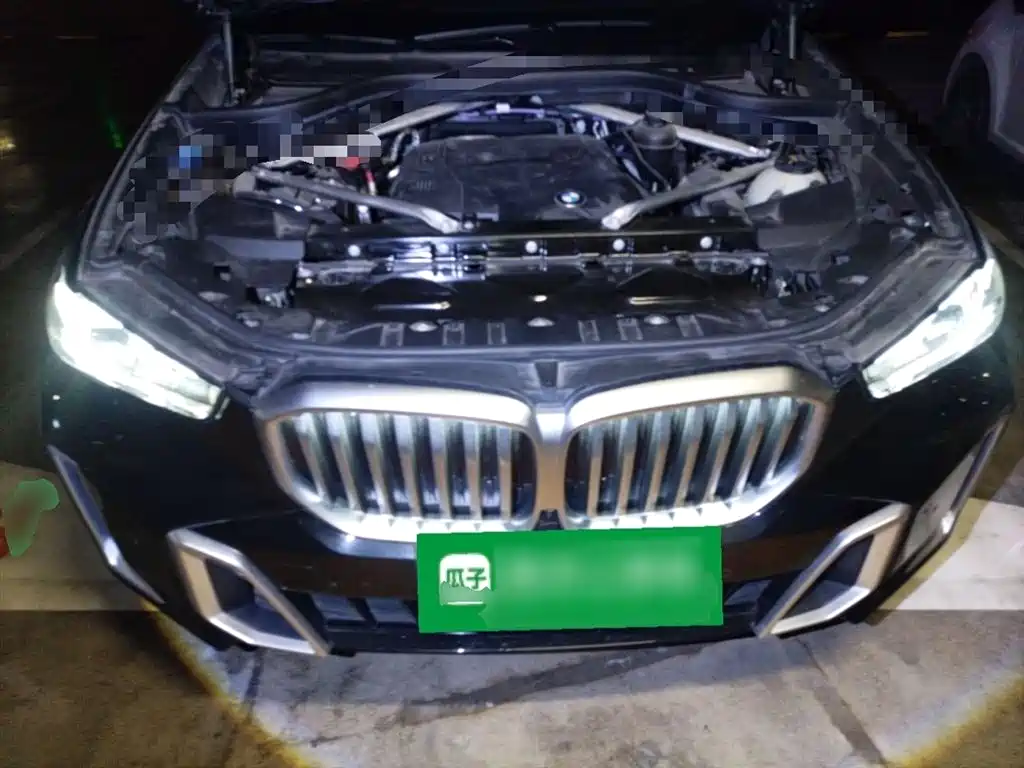 BMW X5 2023 xDrive 30Li Premium M Sport Package фото 11