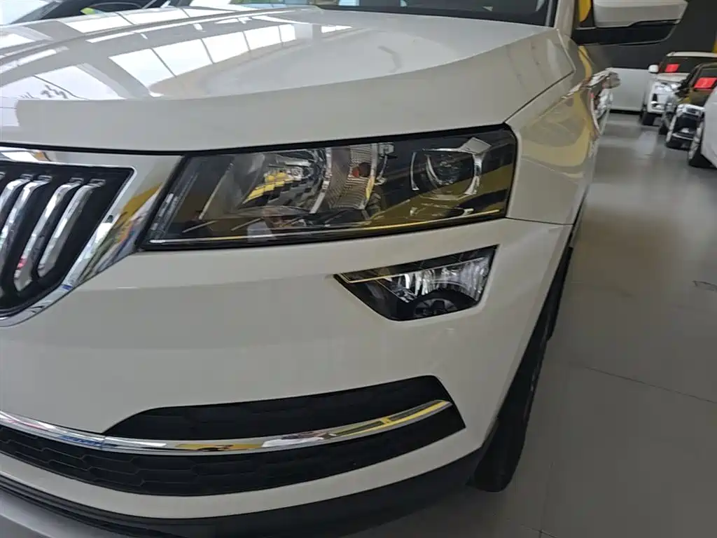 Škoda Karoq 2018 TSI280 Premium Edition China V фото 24