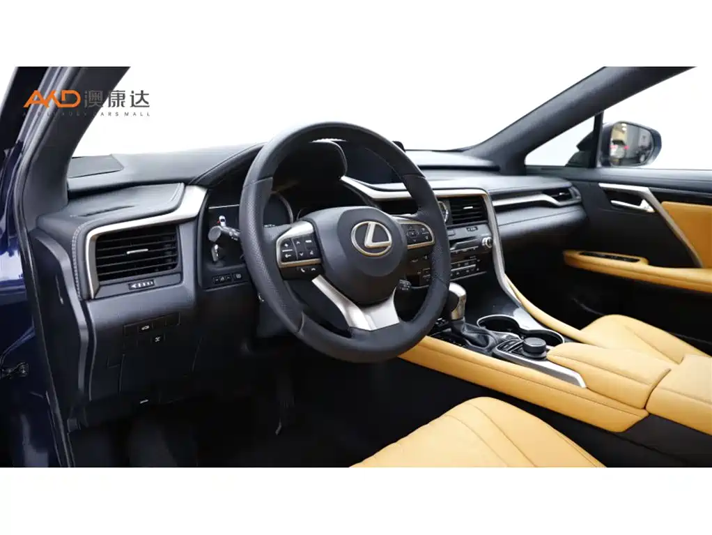 Фото 6 - Lexus RX