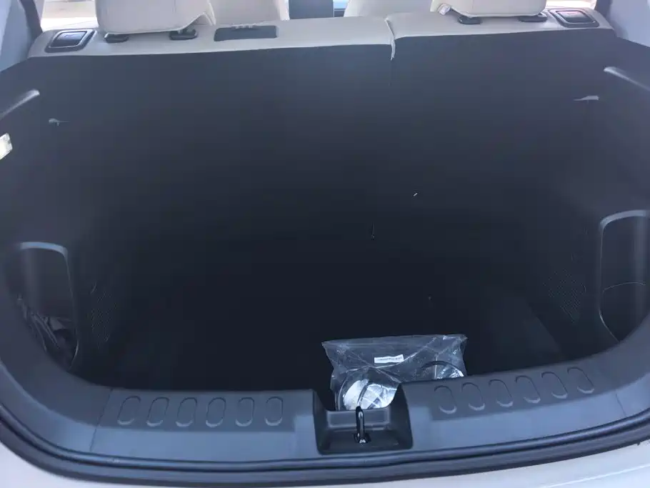 Wuling Motors Wuling Binguo PLUS 2026 2024 Model 330km 5-Seater